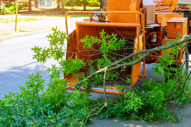 Hobart, OK Tree Services Company