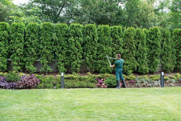 Best Lawn Watering Services  in Hobart, OK